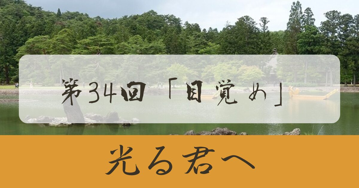 光る君へ 第34回 目覚め